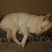 Todd Henke - Facebook