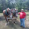 user605450507741  Todd Henke - @user605450507741 - TikTok