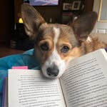 Angie Todd Herrick - @angietoad - Instagram