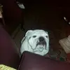 todd herrick - @todd.herrick - TikTok