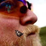 Todd Hodges - @toddhodges37 - Instagram