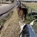 Todd Holbrook - Facebook