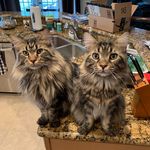Todd Holbrook - @holbrooktodd - Instagram