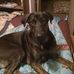 Todd Homan - Facebook