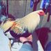 Todd Horne - Facebook