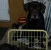 Todd Houck - Facebook