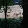 Todd Holder - @todd.holder - TikTok