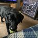 Ted Houseman - Facebook