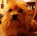 Todd Hovis - Facebook