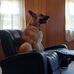 Todd Howland - Facebook