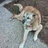 toddhoyt619 - @toddhoyt619 - TikTok