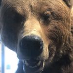 Todd Hubert - @todd.hubert.984 - Instagram