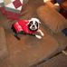 Todd Humbert - Facebook