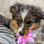 Todd Lee Hume - @todd.l.hume - Instagram