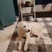 Todd Irvin Sr. - Facebook