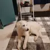 Todd Irvin Sr. - @todd.irvin.sr - TikTok