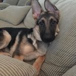 Todd Jackson - @so_let_it_be_written - Instagram