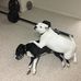 Todd Jackson - Facebook