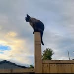 Todd Gregory Janney - @janneytoddgregory - Instagram