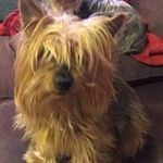 Todd Jansen - @jansen2122 - Instagram