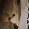Todd Johannsen - @todd.johannsen - TikTok
