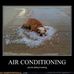 Todd Johansen - Facebook