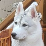 Todd Kaczmarek - @kazzman17 - Instagram