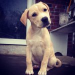 @todd_kauffman23 - Instagram