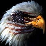 Todd Kauffman - @toddk423 - Instagram