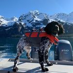 Todd Kearns - @5150ak - Instagram