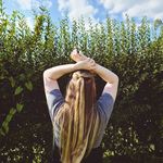Keith Todd - @keith_todd_dins - Instagram