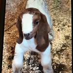 Todd Kimble - @todd_k42 - Instagram