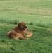 Todd Kirk - Facebook