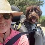 Todd Klein - @toddklein - Instagram