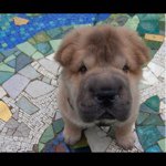 Todd Klein - @caca1231564 - Instagram