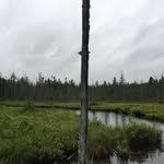 @todd_knockwater - Instagram