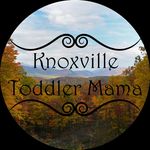 Andi Lewis - @knoxvilletoddlermama - Instagram
