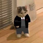 travasty is ia :( - @knoxioustodd - Instagram