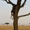 Tod Damkoehler - @toddamkoehler - TikTok