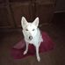 Todd Koehler - Facebook