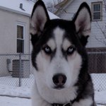 @toddkoehler - Instagram