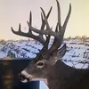 Todd Kober - @toddkober - TikTok