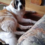 Todd Kupferer - @toddkupferer - Instagram