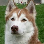 Todd Lambrecht - @lambrechttodd - Instagram