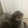 Todd Langley - @tdad2391 - TikTok