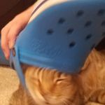 Todd Larson - @thicky_boi1 - Instagram