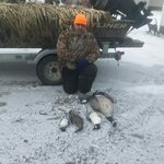 Todd Larson - @toddlarsonduckman - Instagram