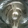 Todd - @toddlarson1369 - TikTok