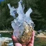 Todd Latham - @todd.latham - Instagram
