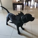 Todd Lattimer - @todd_lattimer - Instagram
